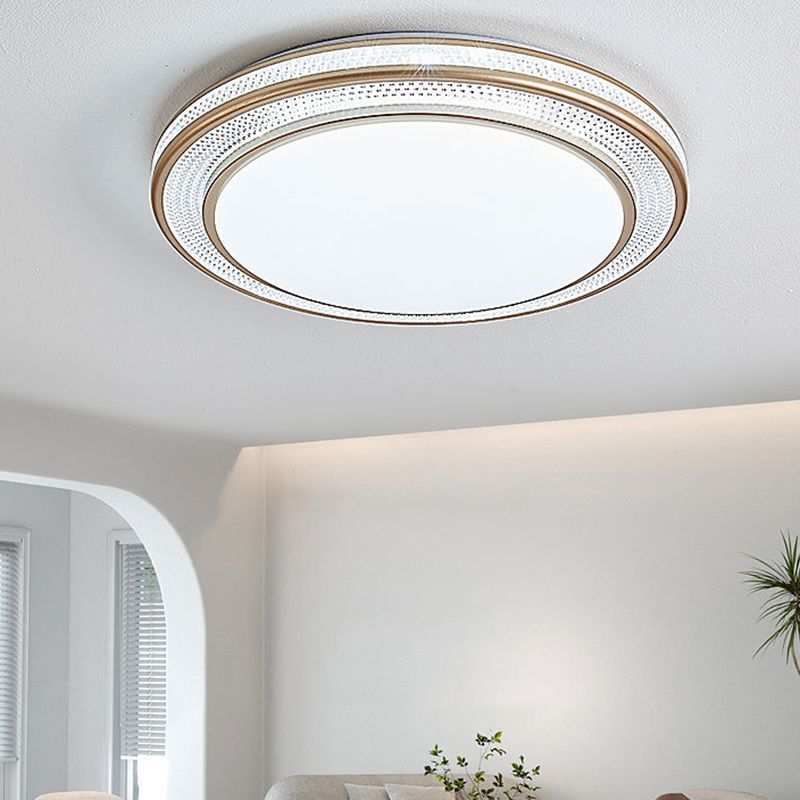 1 Light Circular Flush Mount Fixture Simplicity Metal Flush Light for Living Room