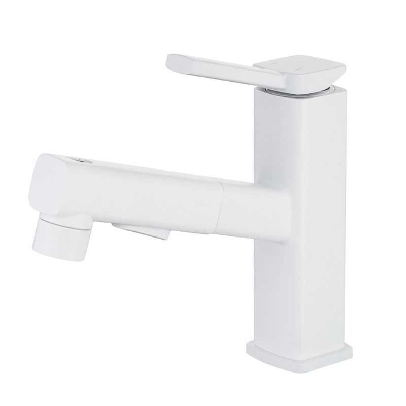 Lever Handle Faucet Pull-out Vessel Sink Faucet with Swivel Spout