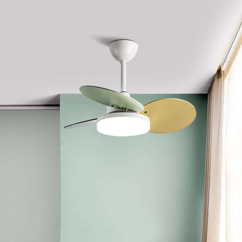 Modern Simple Metal Ceiling Fan Lamp Colorful Blades LED Ceiling Fan Light for Bedroom