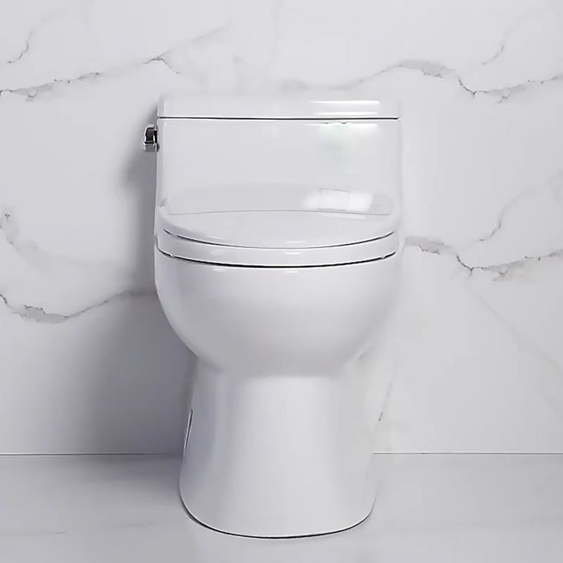 Traditional One Piece Flush Toilet Floor Mounted White Toilet Bowl for Bathroom