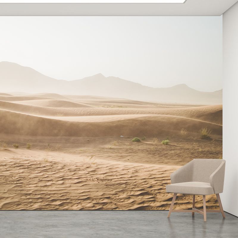 Environmental Wallpaper Desert Stain Resistant Living Room Photography Murals