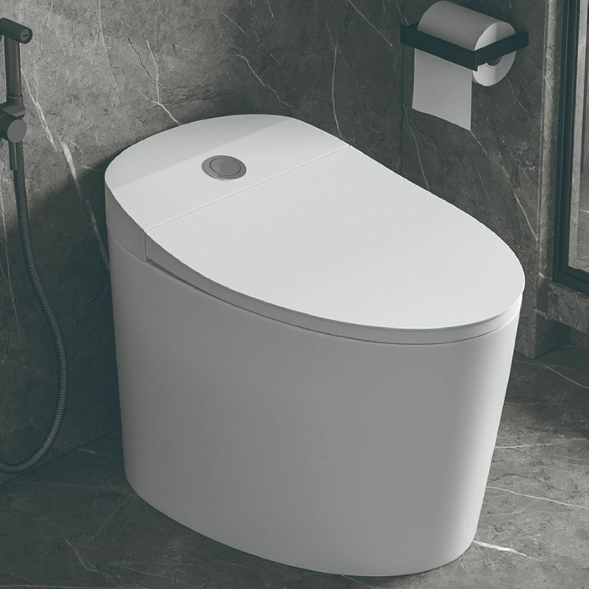 Modern Ceramic Toilet Floor Mounted Skirted Urine Toilet with Toilet Seat