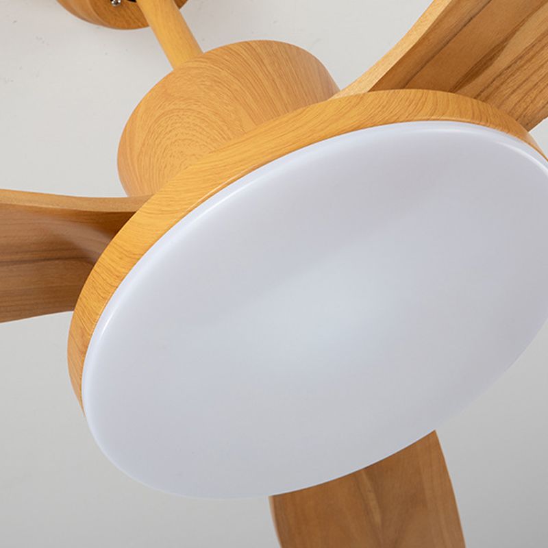 Modern Beige/Black/White Ceiling Fan Lamp Wooden LED Ceiling Fan Light for Dining Room