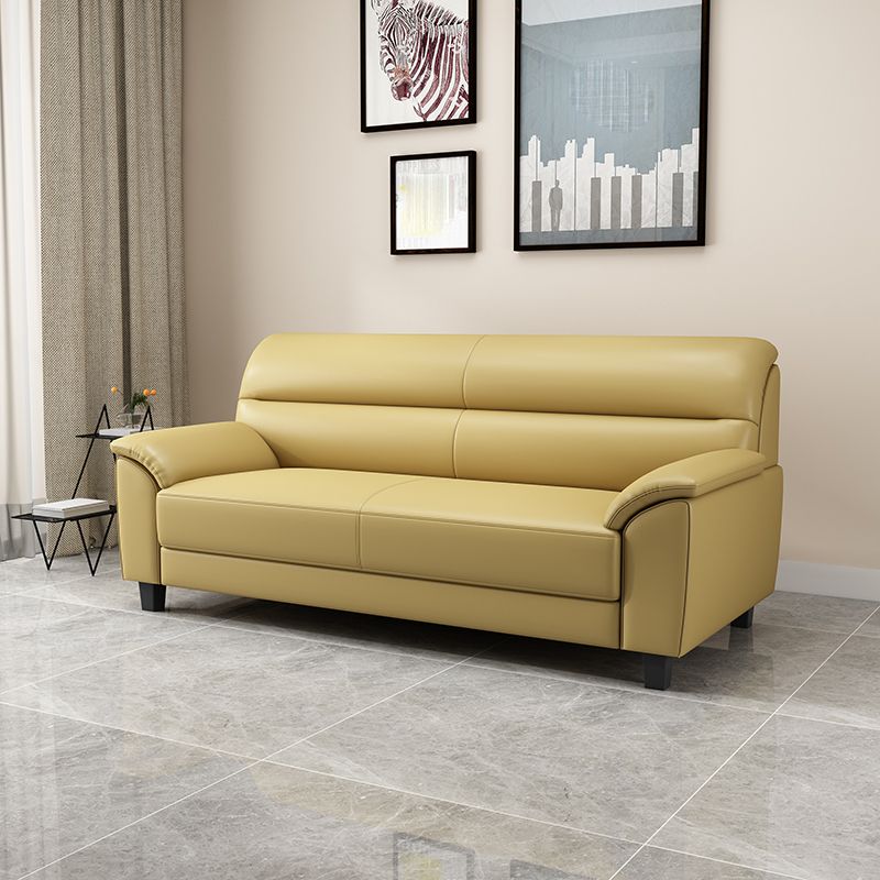 Contemporary Pillow Top Arm Sofa Single Cushion Seat for Living Room