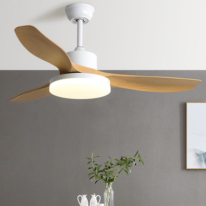 1 - Light Contemporary Ceiling Fan 3 - Blades Fan Light for Room