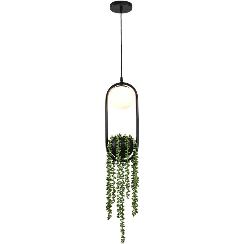 Black 1 clair pendentif sphérique léger nordique rétro rétro ovale métallique ombre lampe suspendue avec plante verte