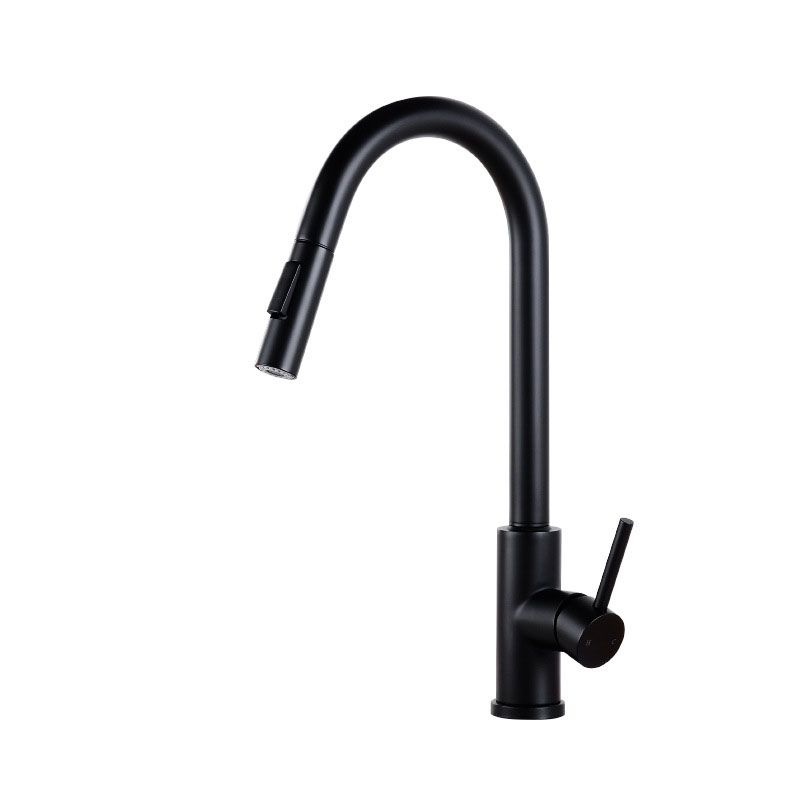 1-Handle Faucet Touch Stainless Steel with Water Dispenser Standard Kitchen Faucet