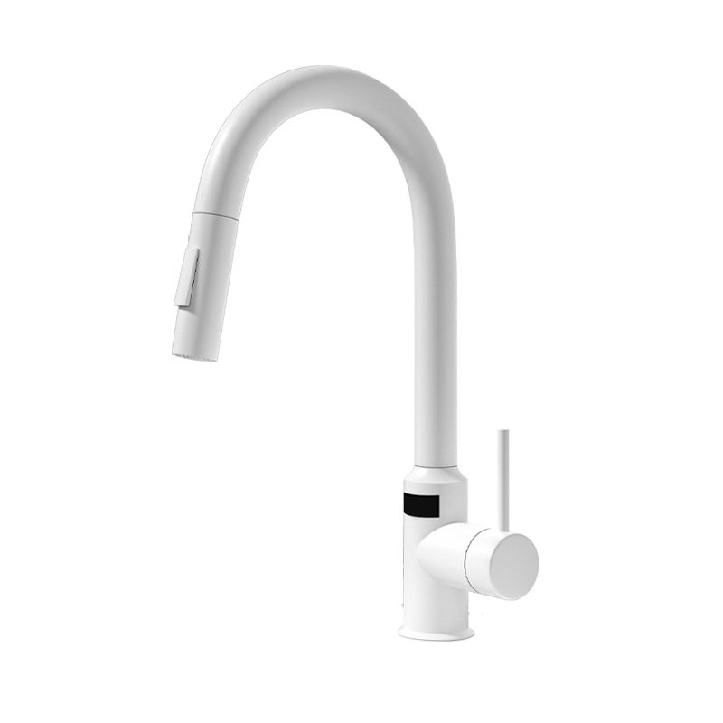 Modern Standard Bar Faucet 1-Handle with Pull down Sprayer Kitchen Faucet