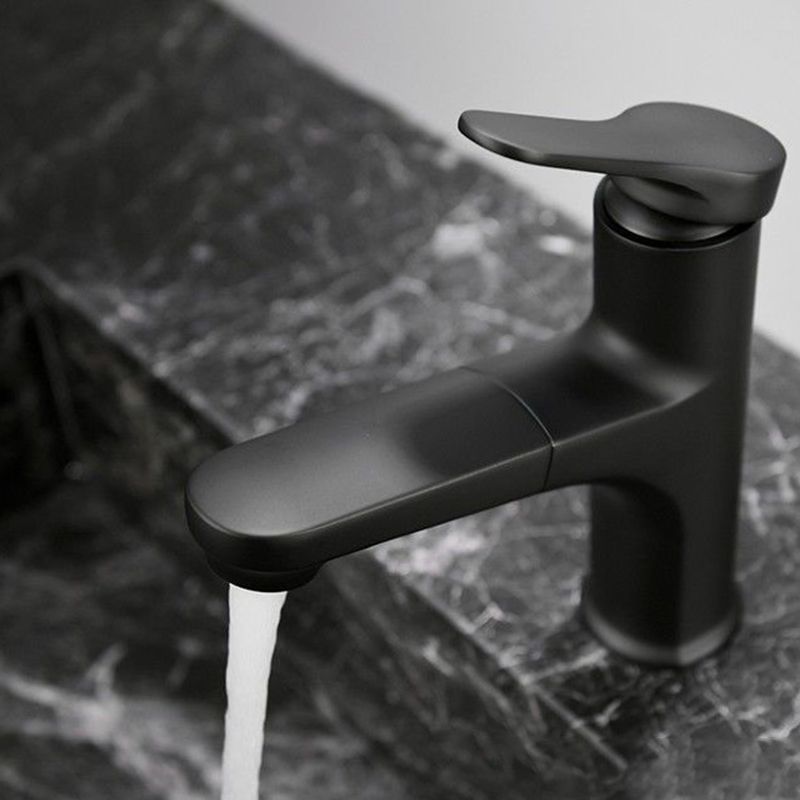 Contemporary Style Faucet Single Lever Handle Faucet with Swivel Spout