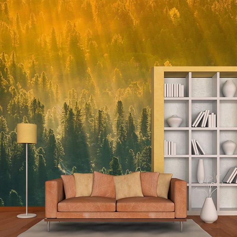 Plants Wall Mural Contemporary Photography Resistant Forest Wall Mural