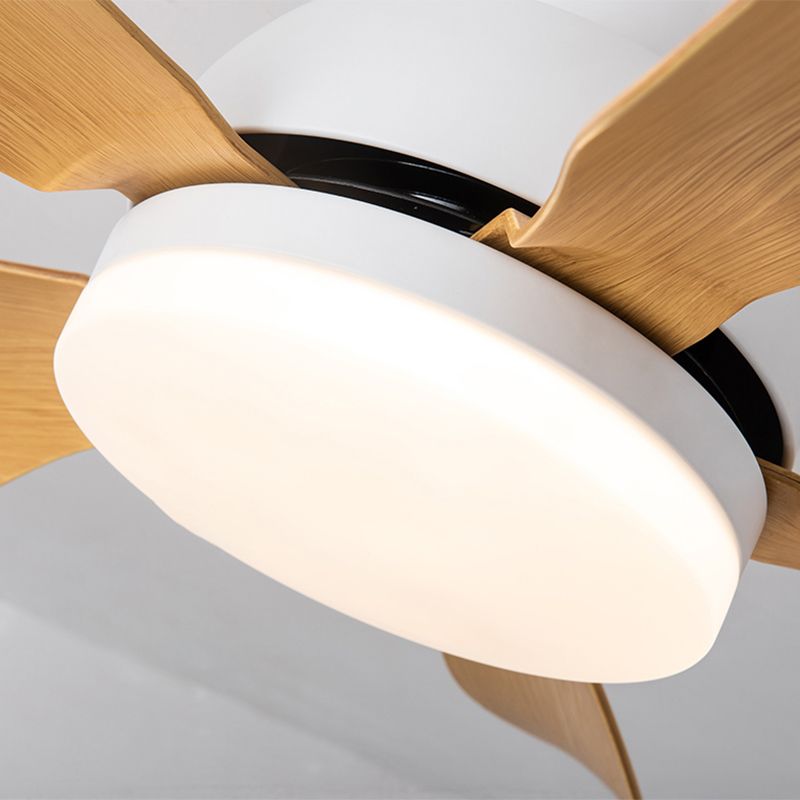 1 Light Ceiling Fan Lighting Modern Style Metal Ceiling Fan Lamp for Bedroom