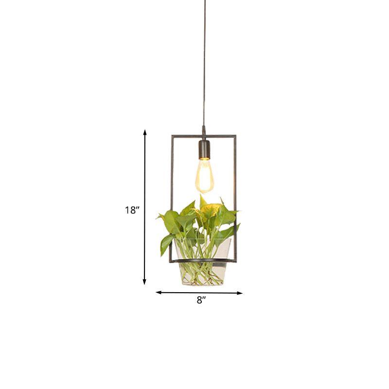 Black 1-Head Down Lighting Retro Iron Square/Round/Gourd Ceiling Pendant Light with Potted Plant for Restaurant