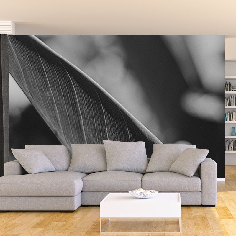 Feather Washable Photography Wallpaper Living Room Wall Mural