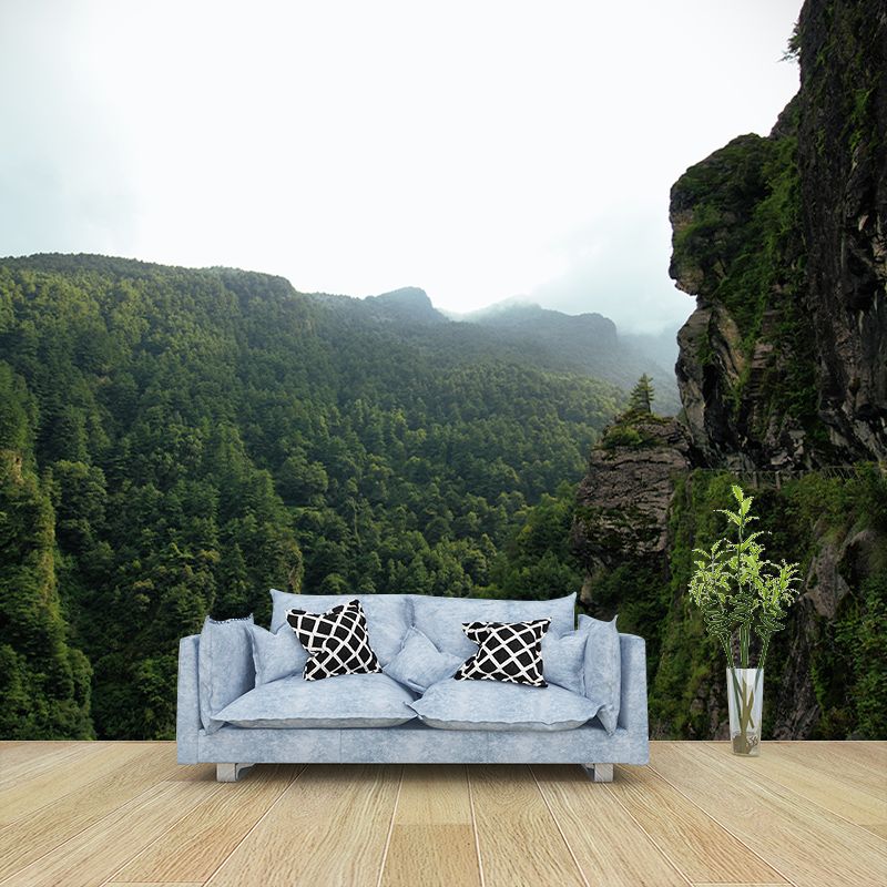 Landscapes Photography Wall Mural Mildew Resistant Photography Mountain Wallpaper