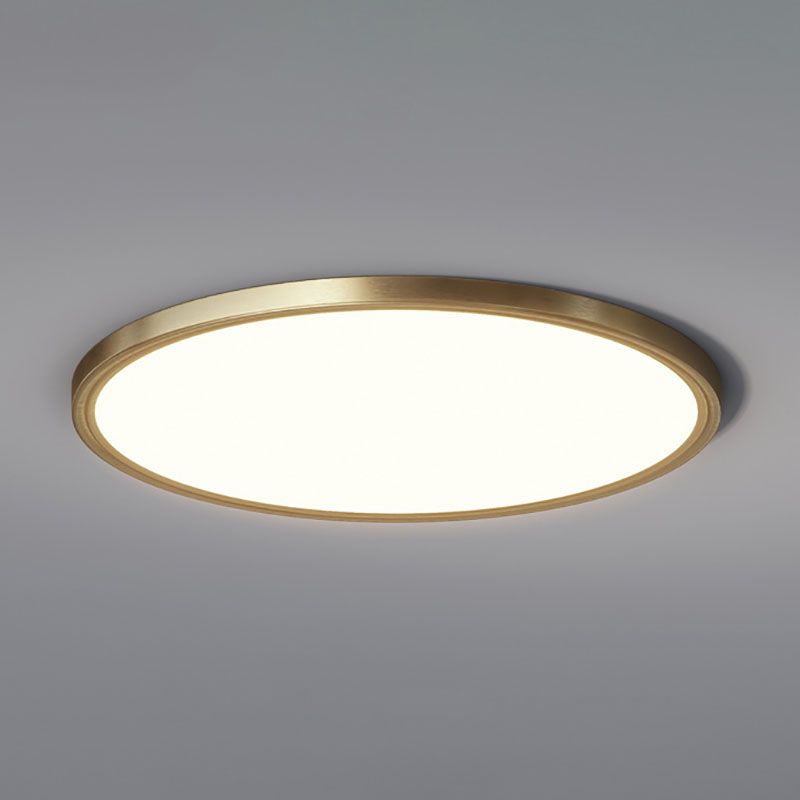 Acrylic Circular Ceiling Fixture in Modern Style Metal LED Ceiling Light for Living Room