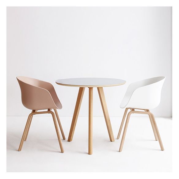 Contemporary Style Dining Room Chairs Solid Arm Chair with Wooden Legs