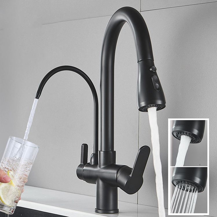 Contemporary Two Handles Kitchen Faucet Double Faucet 1-Hold Faucet