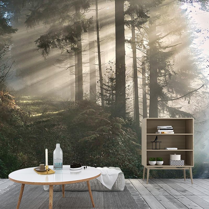 Photography Forest Mural Home Decorative Photography Resistant Wall Mural