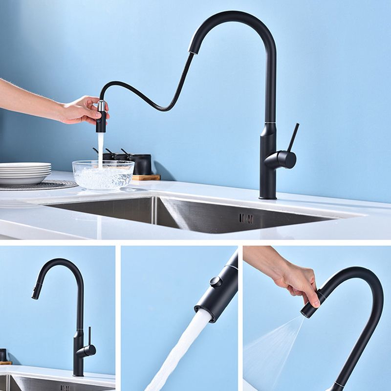 Modern 1-Handle Faucets Stainless Steel with Water Dispenser Pull down Faucets