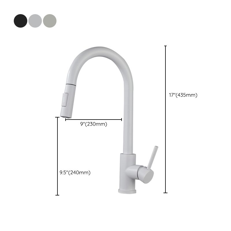 Modern Style Retractable Kitchen Faucet Stainless Steel 1-Handle Kitchen Faucet