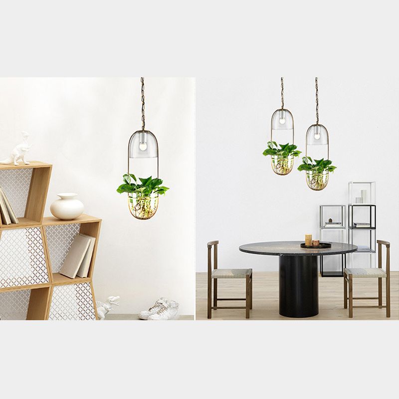 Industrial Ceiling Pendant Glass Plant Light Creative Coffee Shop Restaurant Light (Without Plants)