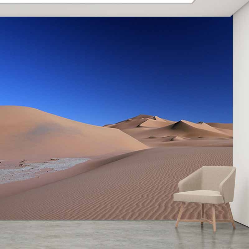 Photography Desert Stain Resistant Wall Mural Home Decor Wallpaper