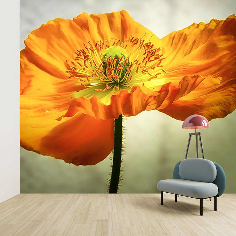 Photography Flower Decorative Wallpaper Living Room Wall Mural