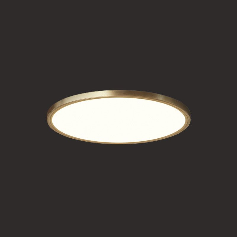 Acrylic Circular Ceiling Fixture in Modern Style Metal LED Ceiling Light for Living Room