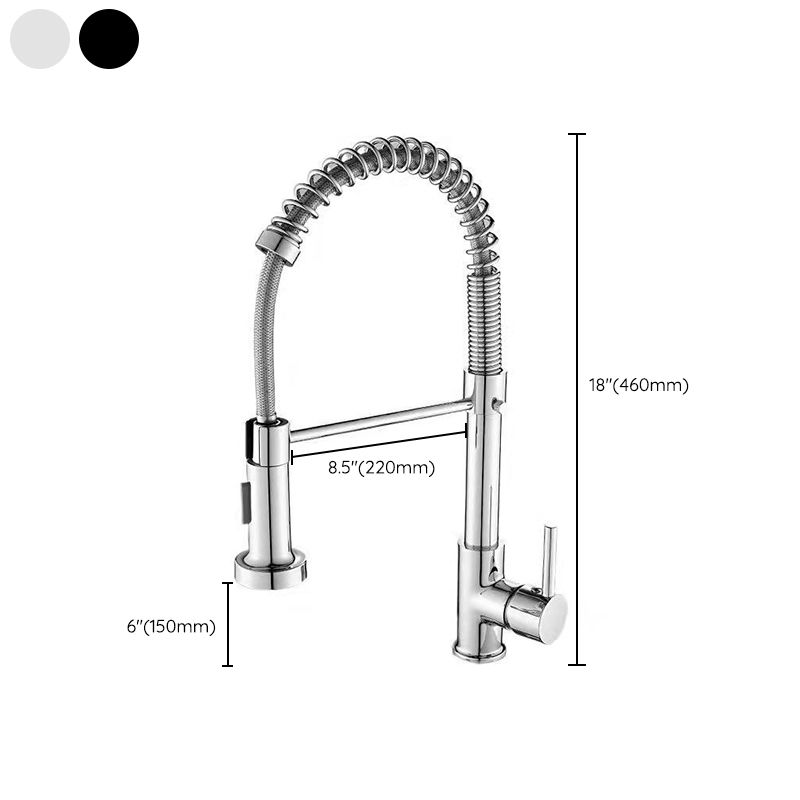 1-Handle Faucets with Water Dispenser Spring Spout Standard Kitchen Faucets