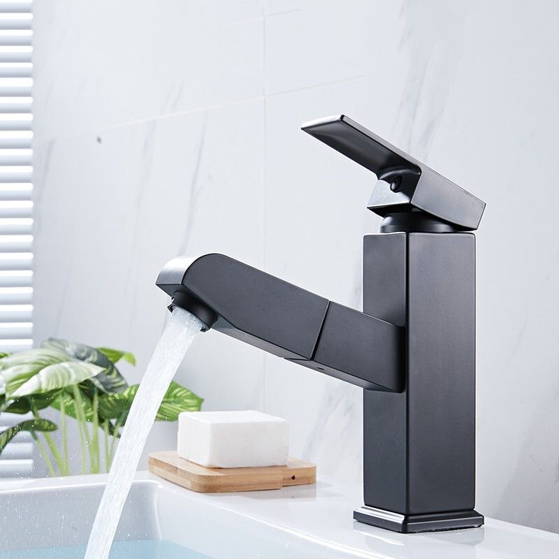 Contemporary Style Faucets Single Lever Handle Swivel Spout Faucets