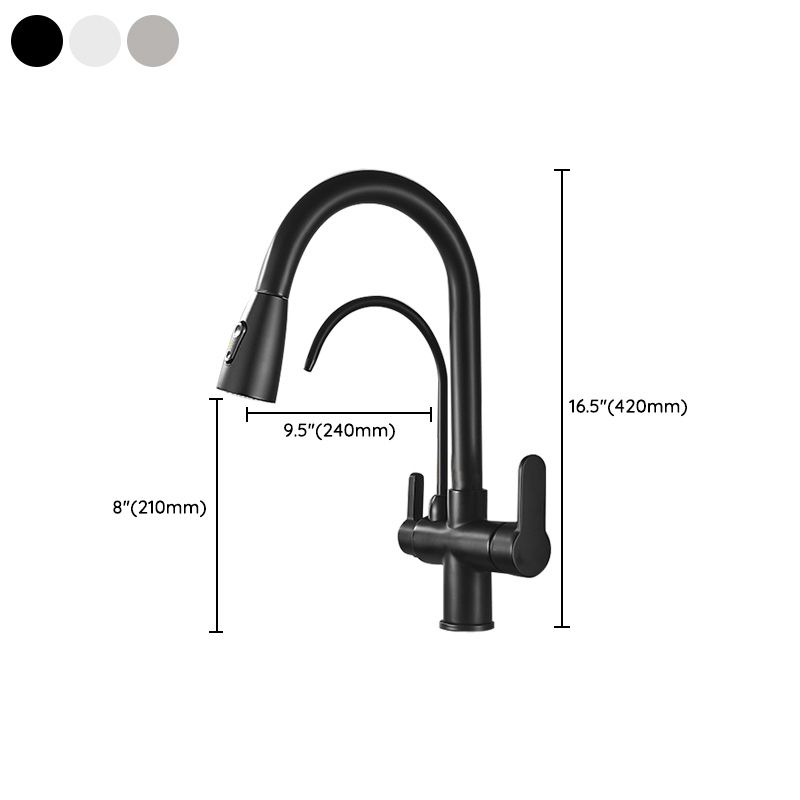 Contemporary Two Handles Kitchen Faucet Double Faucet 1-Hold Faucet