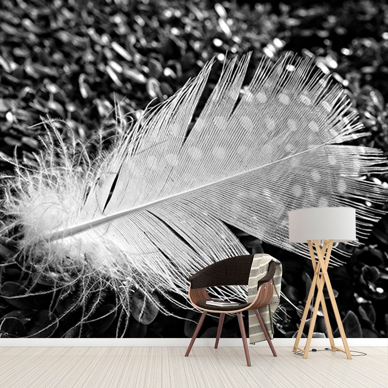 Modern Feather Wallpaper Mildew Resistant Photography Decorative Wall Mural