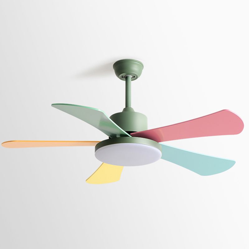 Modern Colorful Ceiling Fan Light Metal 1 Light LED Ceiling Fan for Kid's Room