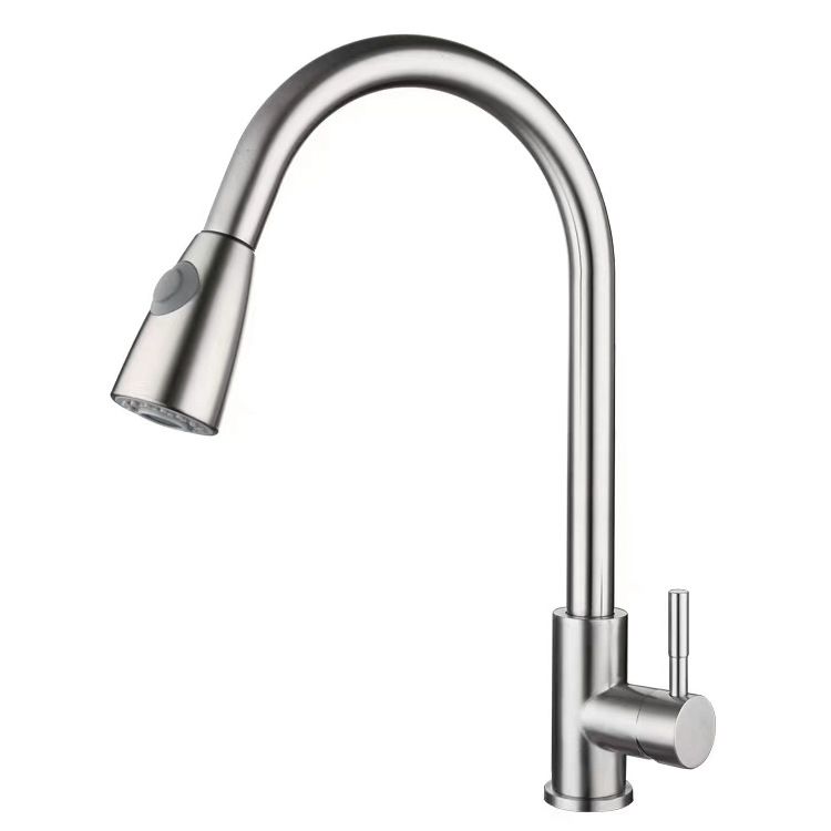 Modern 1-Handle Faucet 304 Stainless Steel with Water Dispenser Pull down Faucet