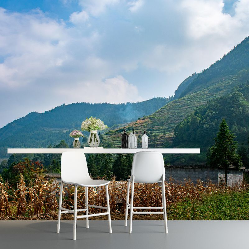 Environmental Mountain Wallpaper Photography Stain Resistant Modern Mural