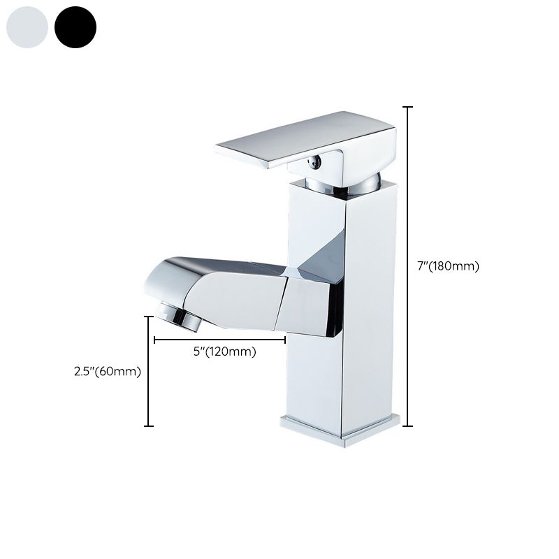 Contemporary Style Faucets Single Lever Handle Swivel Spout Faucets