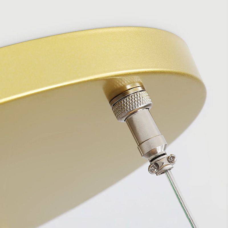 Pendante à LED circulaire en or dans un style concis moderne de la lumière suspendue en fer forgé avec une teinte acrylique