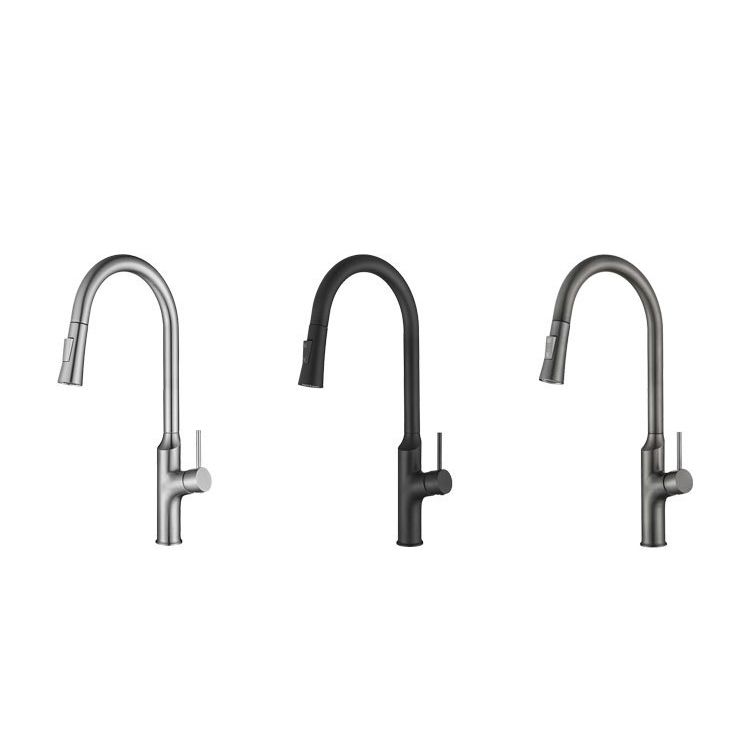 Contemporary Single Lever Kitchen Faucet 1-Hold Water Faucet with Pull out Sprayer