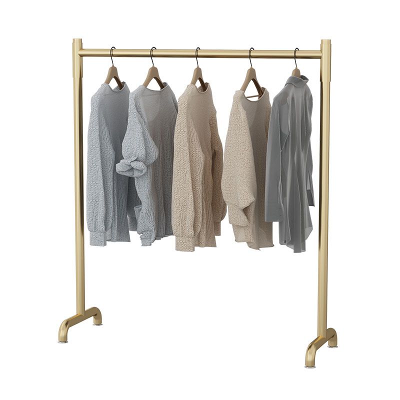 Contemporary Coat Rack Metal Framed Hanging Rail Entry Hall Tree