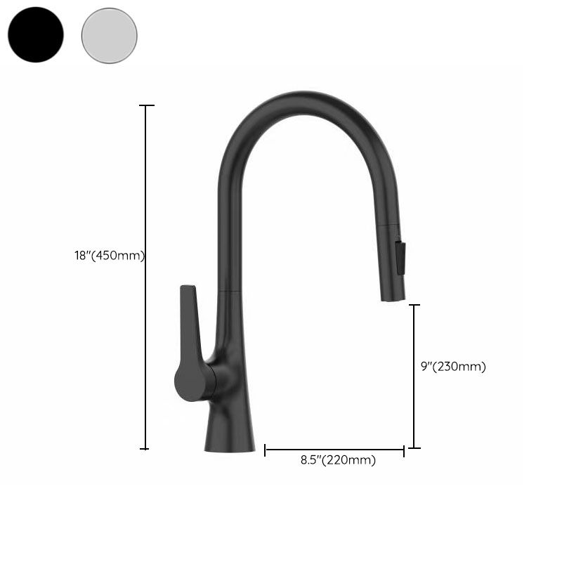 Contemporary Single Handle Standard Kitchen Faucet Pull Down 1-Hold Faucet