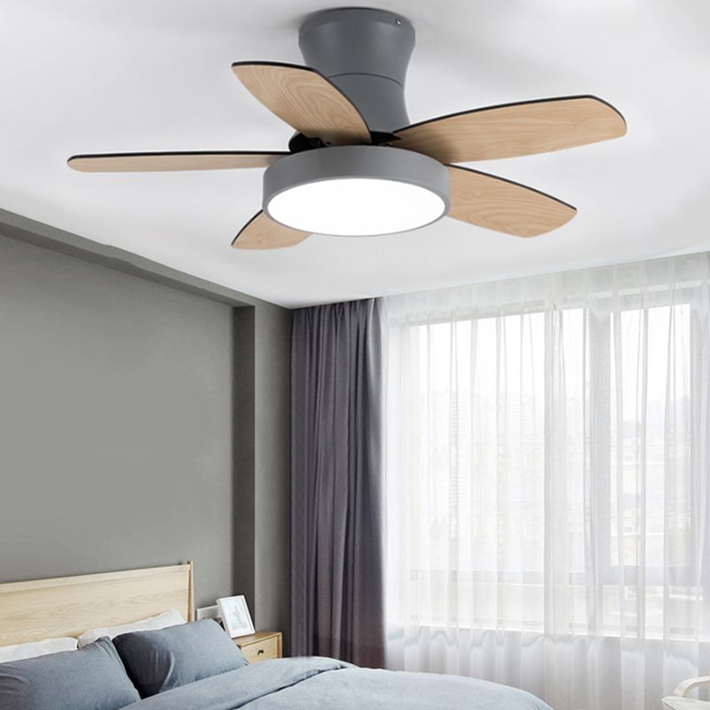 Colorful Ceiling Fan Light Fixture Modern LED Ceiling Lamp for Bedroom