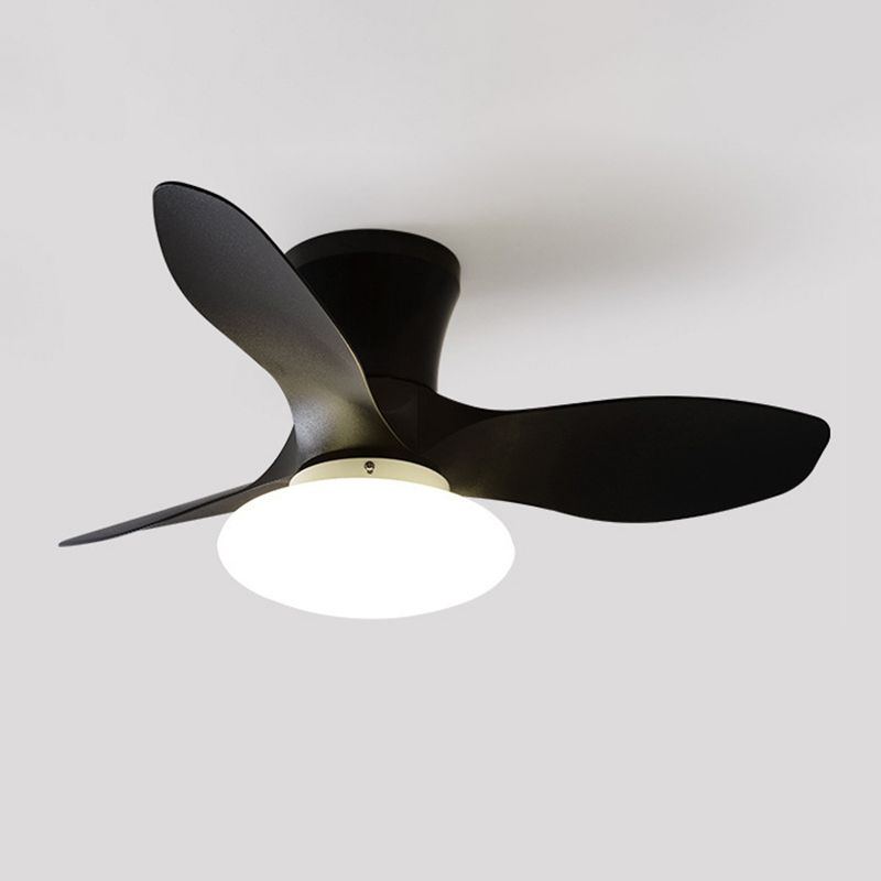 Metal Fan Shape Ceiling Fan Modern Style 1 Light Ceiling Fans Fixtures