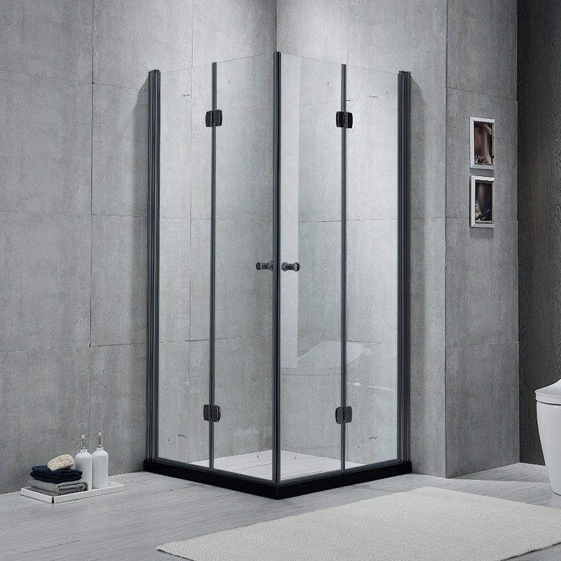 Modern Shower Stall Framed Corner Mounted Black Shower Enclosure