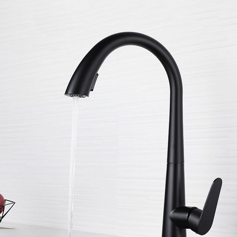 Modern Style Kitchen Faucet 304 Stainless Steel Single Handle Gooseneck Kitchen Faucet