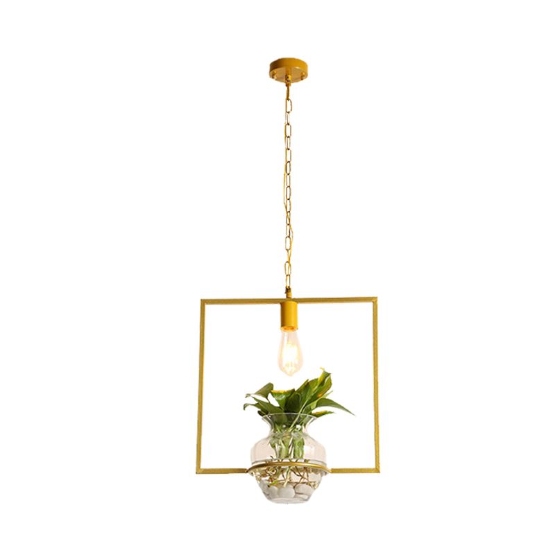 Pargante cuadrado/redondo/callado vintage 1 Bulbo de hierro Down Lighting in Gold con planta en maceta para sala de estar