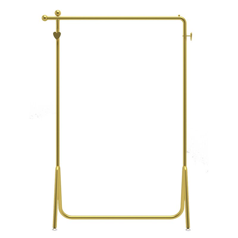 Contemporary Entry Coat Rack Metal Frame Hanging Rail and Hook Coat Hanger