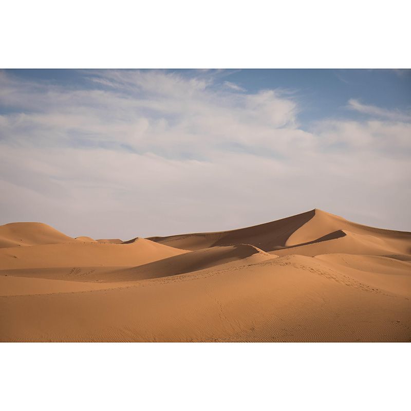 Environmental Photography Wall Mural Desert Drawing Room Wallpaper