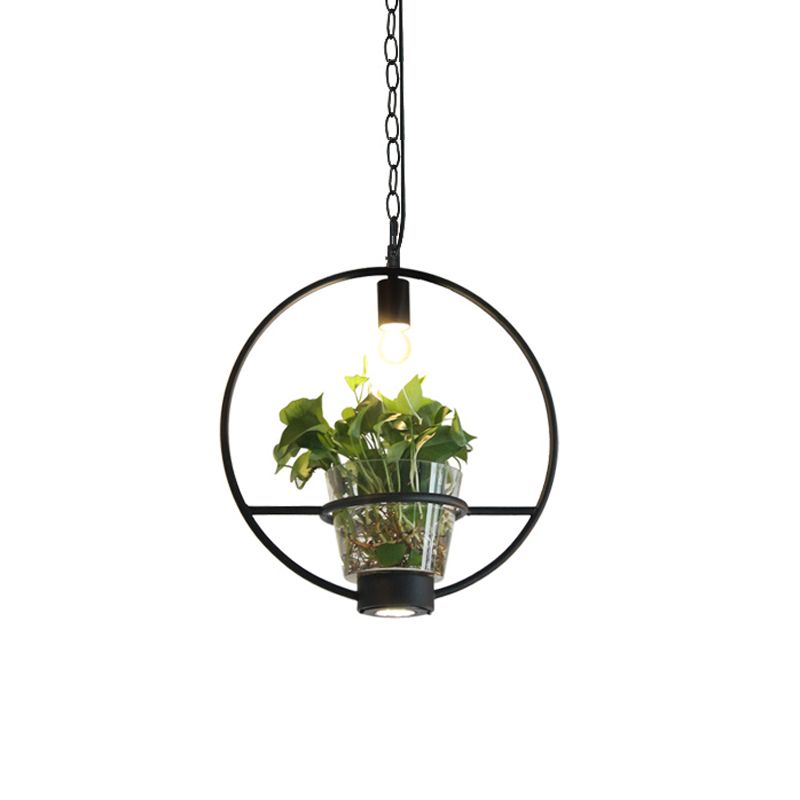 Black 1 Light Down Lighting Industrial Iron Circular/Rectangular Cage Drop Pendant with Clear Glass Plant Pot