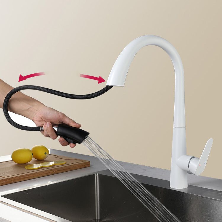 Contemporary High-Arc Kitchen Faucet Swivel Spout with Pull Down Sprayer