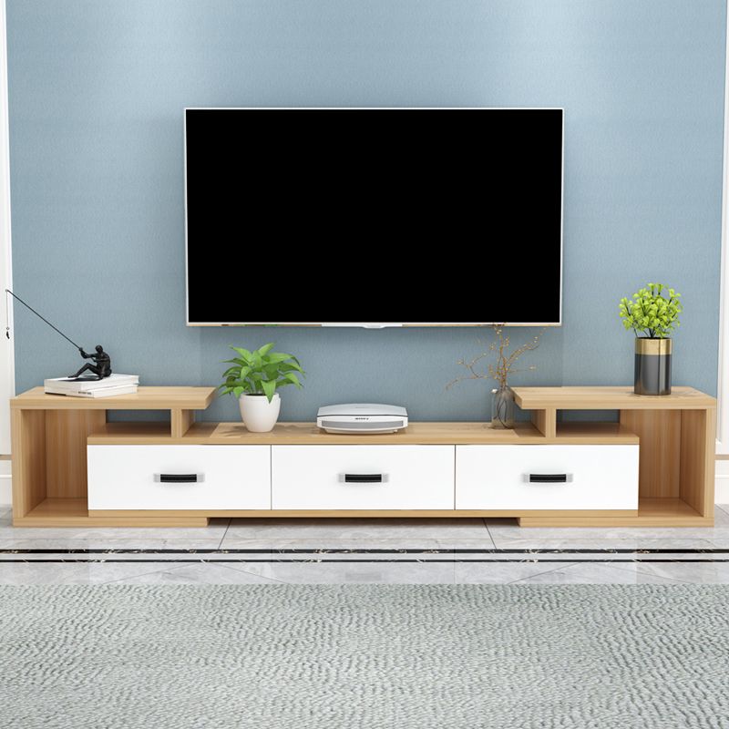 Wooden Enclosed TV Storage Scandinavian TV Cabinet with Sliding Storage